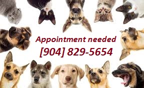 Call to schedule quality time puppy viewing by appointment.  Our gates are closed for your dog's safety and security so you need to call for access.