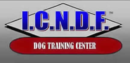 ICNDF dog training center in St. Augustine FL with large kennel runs. A home away from home for boarding or training your family dog or cat.  