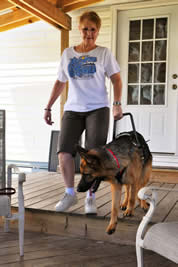 We assist so many veterans and tend to get emotionally involved with these owners and their handler training.