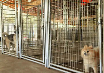 Kennel run protected from the weather with outdoor fans and a misting system