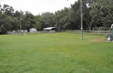 Obedience training field with lots of room to run